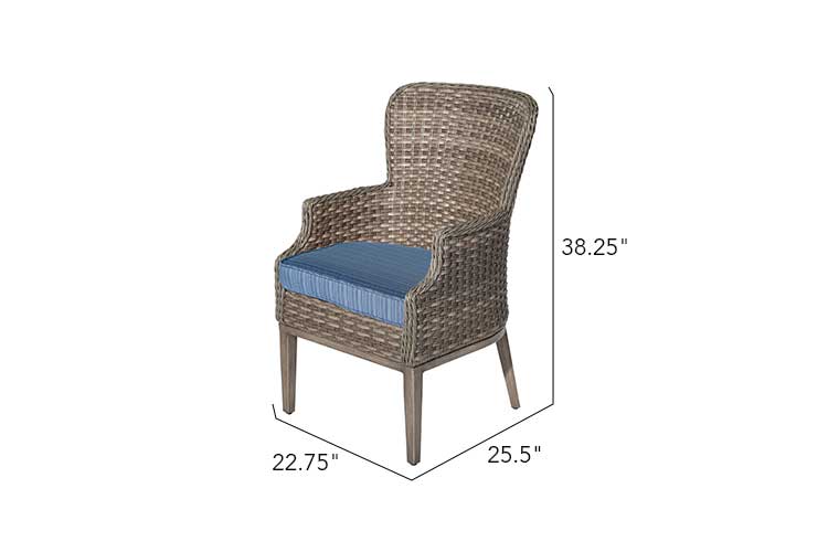 2 Tenaya Wicker Dining Chair
